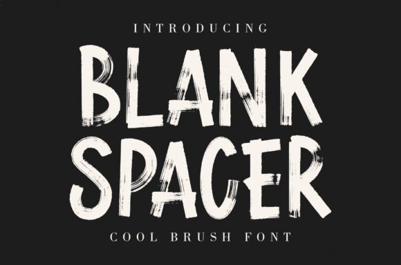 Blank Spacer: A Creative Display Font for Authentic Branding