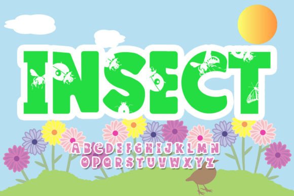 Review: Why Insect Works as a Bold Display Choice